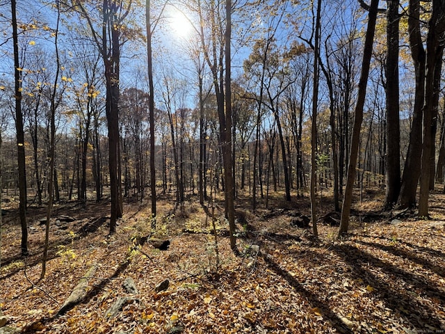 73 Upper Kent Hollow Rd, Kent, CT 06757 - photo 25