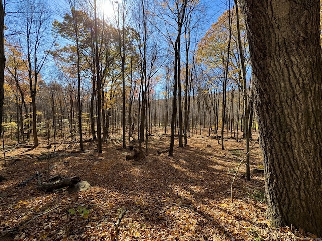 73 Upper Kent Hollow Rd, Kent, CT 06757 - photo 26