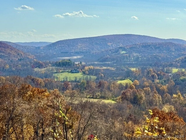 73 Upper Kent Hollow Rd, Kent, CT 06757 - photo 24