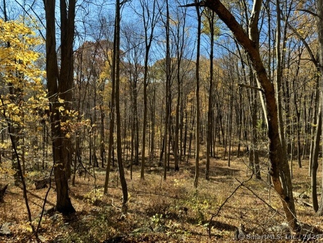73 Upper Kent Hollow Rd, Kent, CT 06757 - photo 27