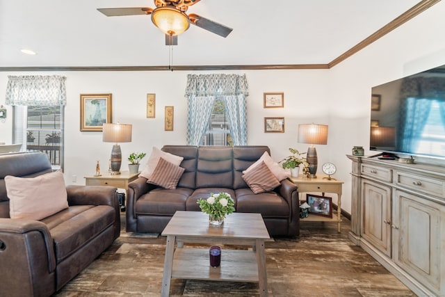 living room featuring ornamental molding, ceiling fan, and dark hardwood / wood-style floors