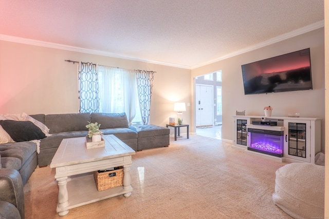 carpeted living room featuring crown molding and a textured ceiling