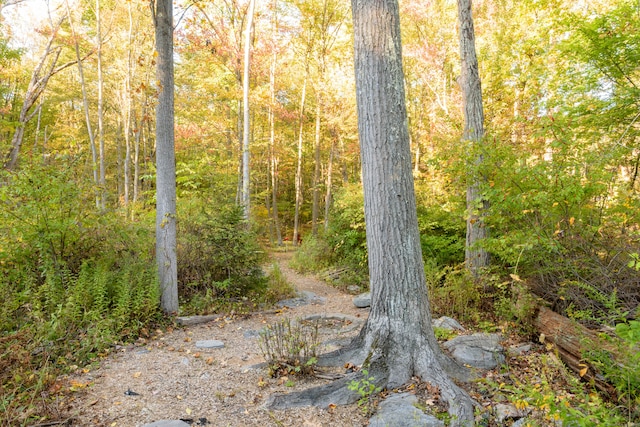 view of nature