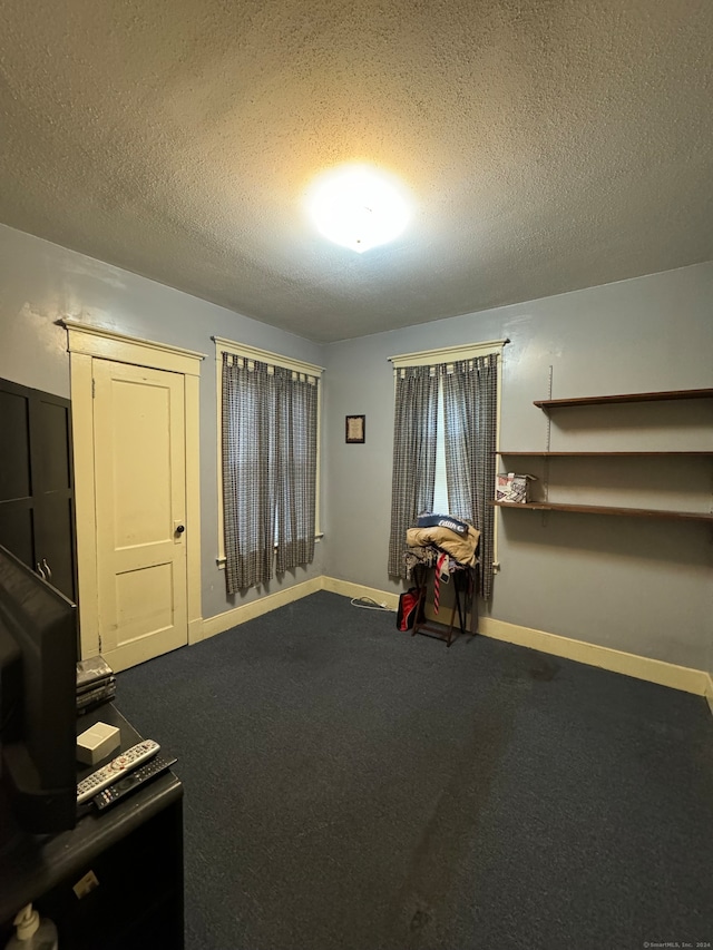 miscellaneous room featuring carpet flooring and a textured ceiling