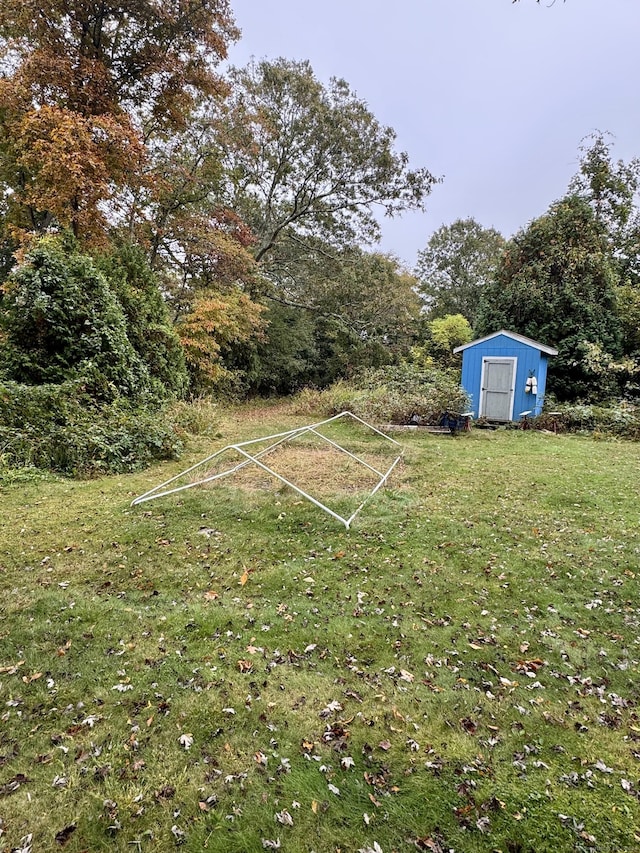 view of yard featuring a storage shed and an outdoor structure