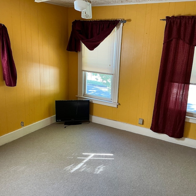 empty room with wooden walls and carpet flooring