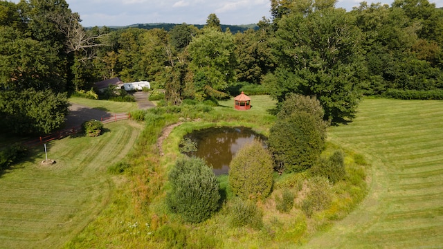 birds eye view of property featuring a rural view and a water view