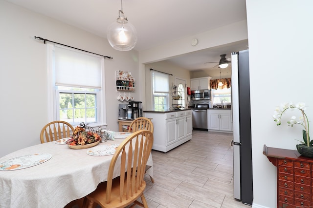 dining area with ceiling fan and a wealth of natural light