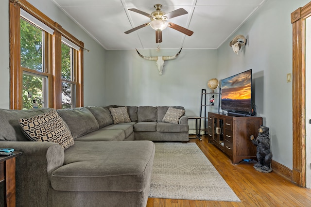 living room with ceiling fan, crown molding, and hardwood / wood-style floors