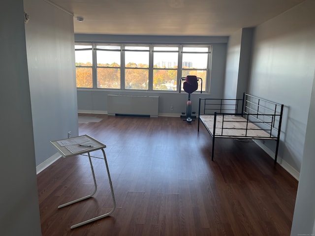 interior space featuring dark hardwood / wood-style floors