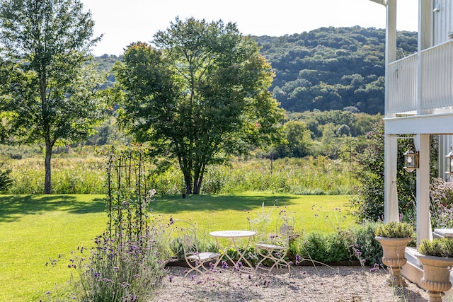 view of yard featuring a mountain view