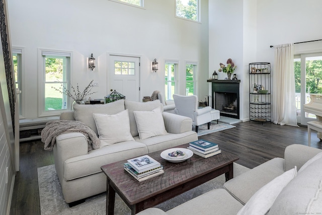 living room with a high ceiling, wood finished floors, and a fireplace