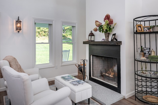 living room featuring hardwood / wood-style floors