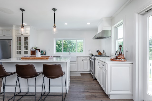 kitchen featuring sink, wall chimney range hood, white cabinetry, appliances with stainless steel finishes, and dark hardwood / wood-style flooring