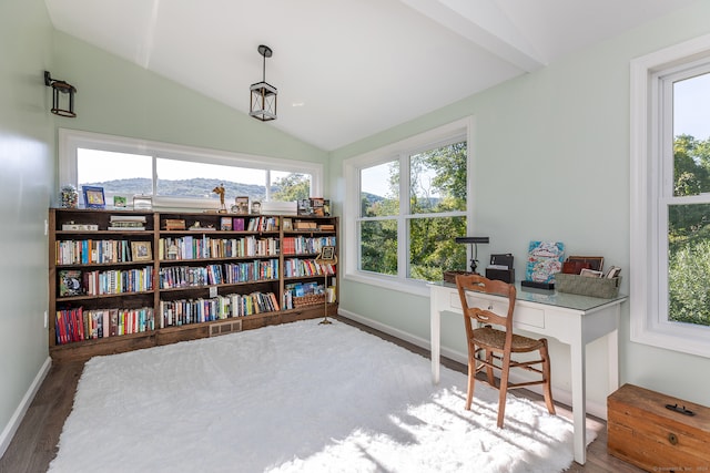 office area featuring a mountain view, lofted ceiling, hardwood / wood-style floors, and a healthy amount of sunlight