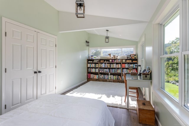 bedroom with wood finished floors, baseboards, a closet, and vaulted ceiling