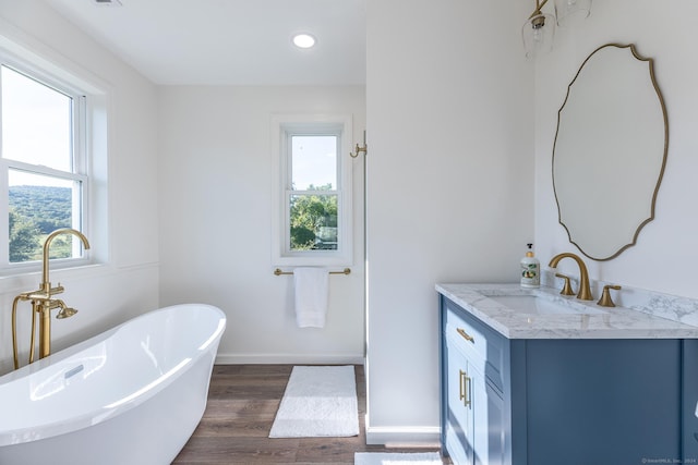 full bath featuring a freestanding bath, plenty of natural light, vanity, and wood finished floors