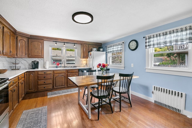 kitchen featuring radiator heating unit, appliances with stainless steel finishes, light wood-type flooring, and a healthy amount of sunlight