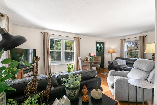 living room with plenty of natural light, baseboard heating, hardwood / wood-style floors, and ornamental molding