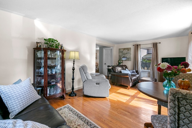 living room with wood-type flooring