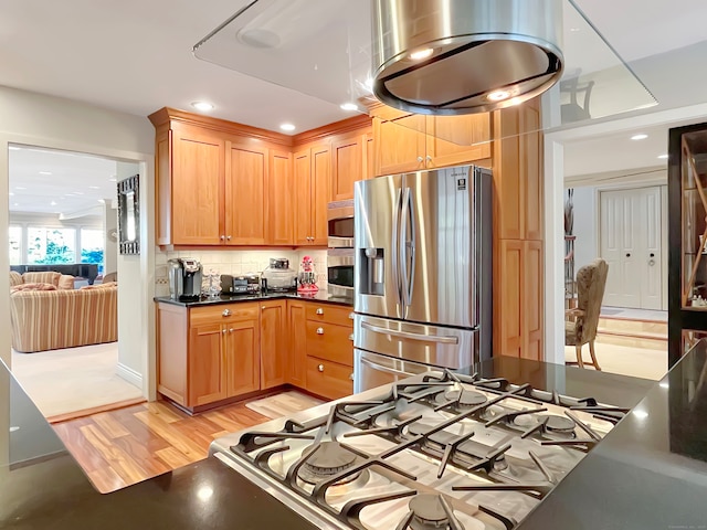 kitchen with decorative backsplash, light hardwood / wood-style flooring, and stainless steel appliances