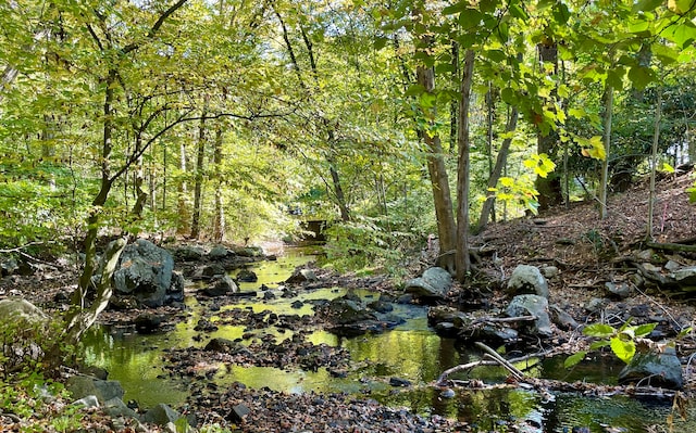 view of local wilderness