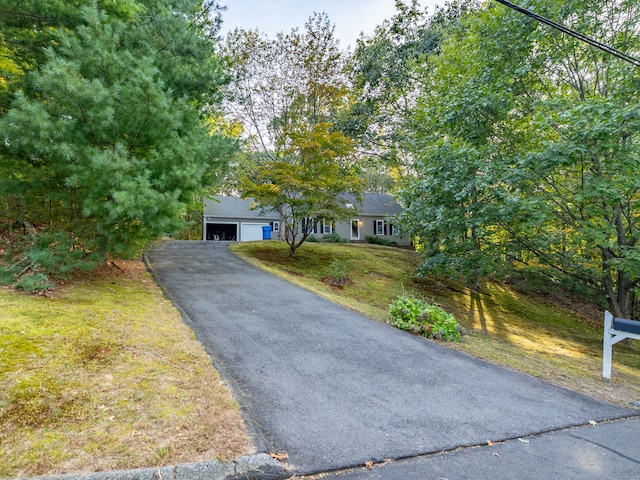 view of property hidden behind natural elements featuring a front lawn