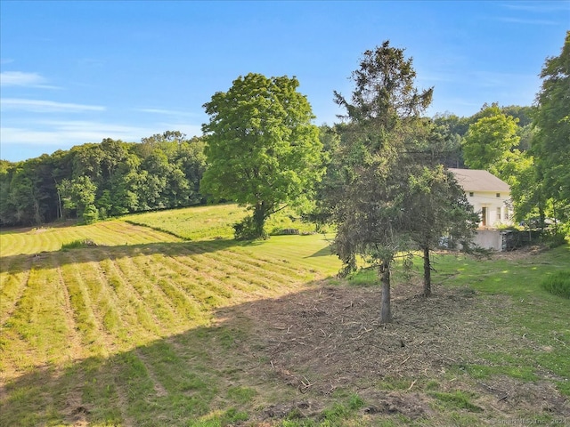 view of yard featuring a rural view