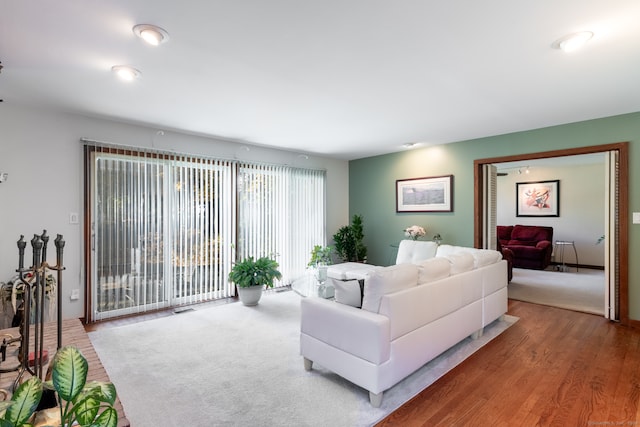 living room with hardwood / wood-style flooring