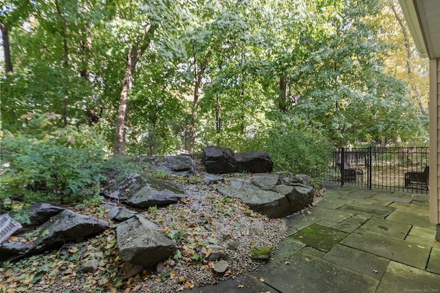 view of yard featuring a patio area