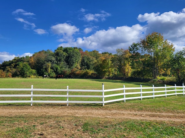 view of yard with a rural view