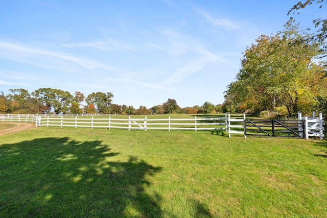 view of yard with a rural view