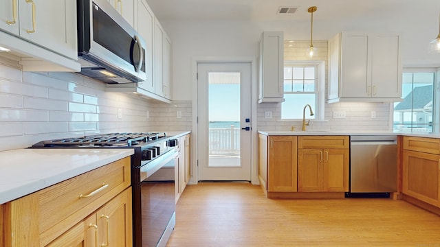 kitchen with a healthy amount of sunlight, appliances with stainless steel finishes, light hardwood / wood-style flooring, and white cabinetry