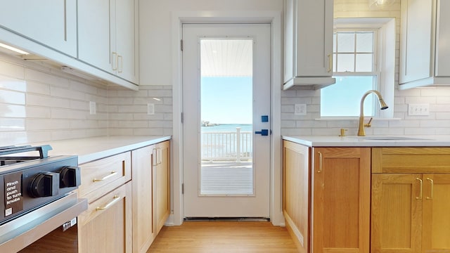 kitchen with light hardwood / wood-style flooring, plenty of natural light, white cabinets, and sink