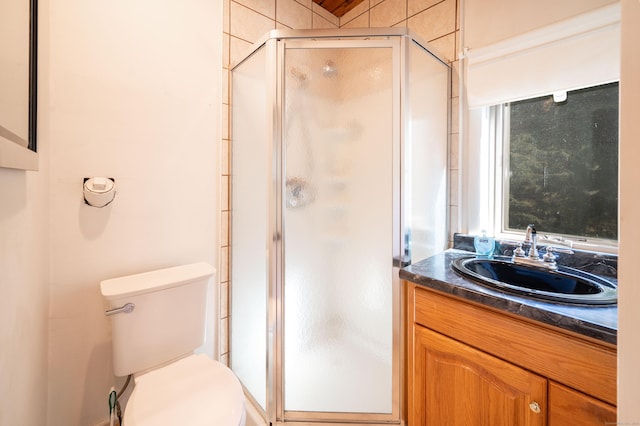 bathroom with vanity, a shower with shower door, and toilet