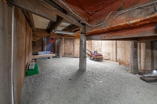 basement featuring carpet floors