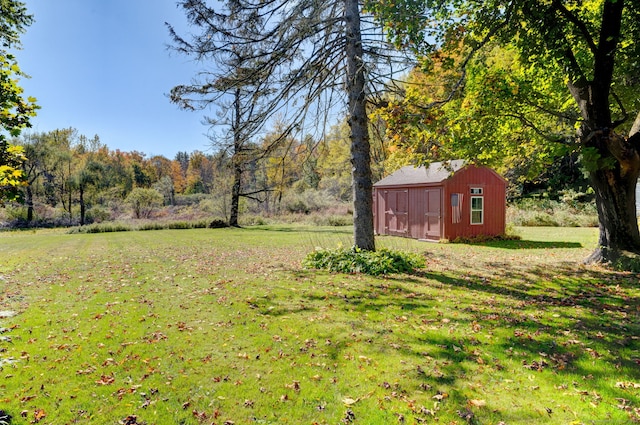 view of yard featuring a storage unit