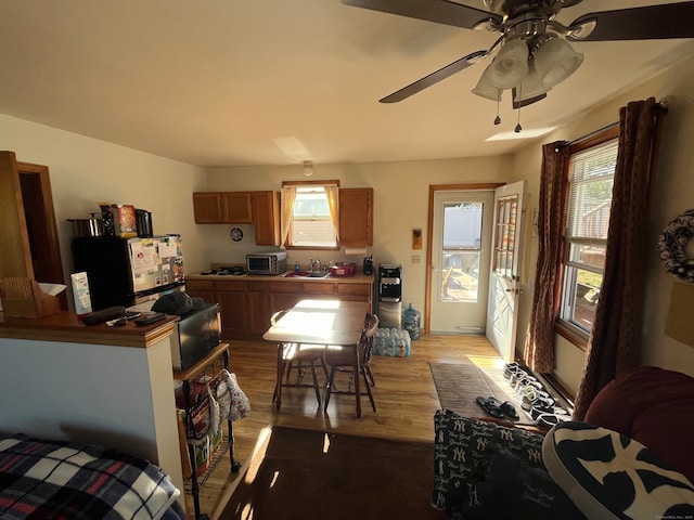 kitchen featuring plenty of natural light, light hardwood / wood-style floors, sink, and ceiling fan