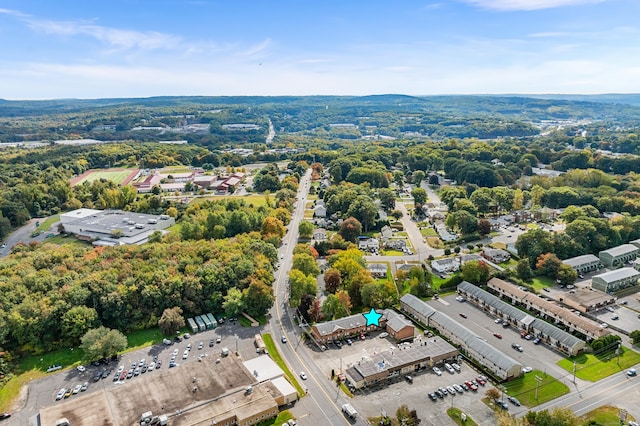 bird's eye view