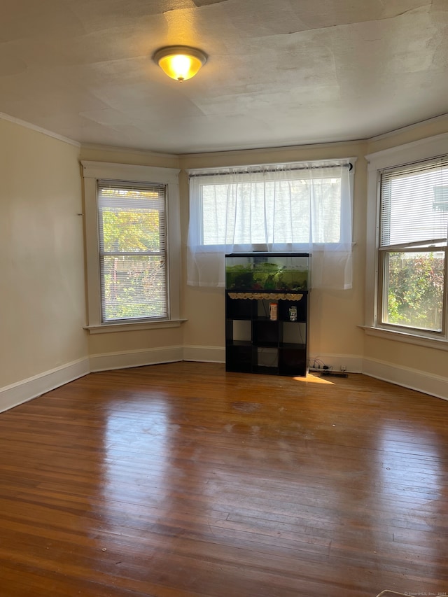 spare room featuring dark hardwood / wood-style flooring