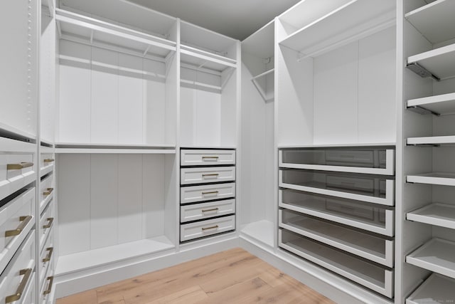 spacious closet with light hardwood / wood-style flooring