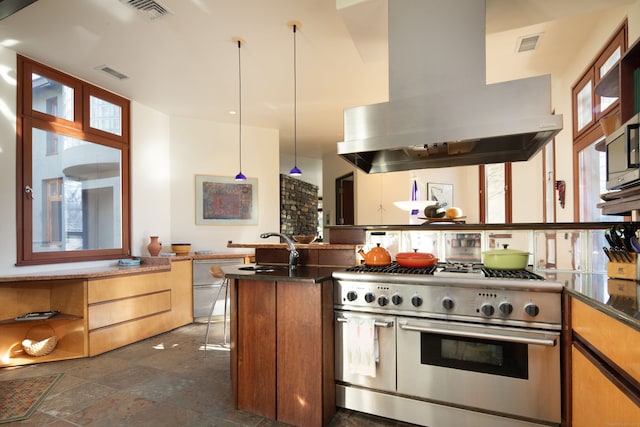 kitchen featuring stainless steel appliances, pendant lighting, sink, and island range hood