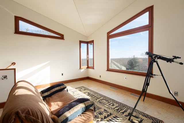 sitting room with vaulted ceiling