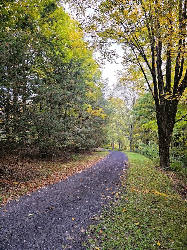 view of road