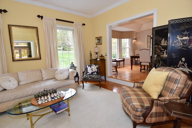 living room with plenty of natural light, hardwood / wood-style floors, and crown molding