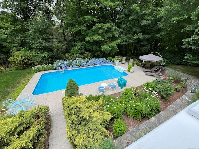 view of swimming pool featuring a patio area