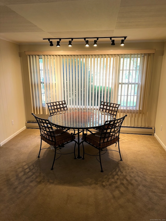 dining space featuring carpet, track lighting, and a baseboard heating unit