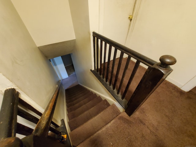 staircase featuring carpet flooring