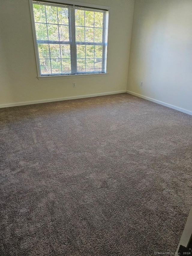 unfurnished room featuring carpet flooring