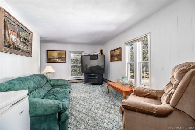 living room featuring ornamental molding